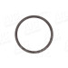 Sensorring ABS | CITROEN | 55466
