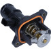 Thermostat, Kühlmittel | TE6976.105J Thermostat, Kühlmittel | TE6976.105J