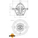 Thermostat, Kühlmittel EASY FIT 725065