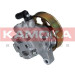 KAMOKA Hydraulikpumpe, Lenkung PP119