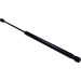 Gasfeder, Koffer-/Laderaum | 230074 Gasfeder, Koffer-/Laderaum | 230074