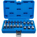 BGS Bit-Einsatz-Satz | Antrieb Innenvierkant 6,3 mm (1/4"""") / 12,5 mm (1/2"""") | T-Profil (für Torx) | 18-tlg | 5173 BGS Bit-Einsatz-Satz | Antrieb Innenvierkant 6,3 mm (1/4"""") / 12,5 mm (1/2"""") | T-Profil (für Torx) | 18-tlg | 5173