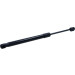 Gasfeder, Motorhaube | 205968 Gasfeder, Motorhaube | 205968