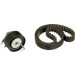 Zahnriemensatz | CITROEN,PEUGEOT 407 05 | K015704XS Zahnriemensatz | CITROEN,PEUGEOT 407 05 | K015704XS