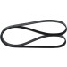 Keilrippenriemen | CHEVROLET,OPEL | 1987948480 Keilrippenriemen | CHEVROLET,OPEL | 1987948480