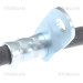 Bremsschlauch | 815068215 Bremsschlauch | 815068215