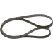 Keilrippenriemen | TOYOTA,NISSAN,RENAULT,MAZDA | 1987948490 Keilrippenriemen | TOYOTA,NISSAN,RENAULT,MAZDA | 1987948490