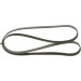 Keilrippenriemen | VW,SKODA,TOYOTA,AUDI | 1987947951 Keilrippenriemen | VW,SKODA,TOYOTA,AUDI | 1987947951