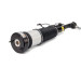 Arnott Luftfederbein VA li | MERCEDES CL 4Matic,S 4Matic 06 | AS-2853 Arnott Luftfederbein VA li | MERCEDES CL 4Matic,S 4Matic 06 | AS-2853