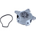 Wasserpumpe | 47-0239 Wasserpumpe | 47-0239