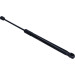 Gasfeder, Hinten L=441,5 350N | Hyundai i10 13 | 605893