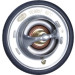 Thermostat, Kühlmittel | 352317100570 Thermostat, Kühlmittel | 352317100570