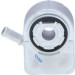 Ölkühler, Motor“L | 31069 Ölkühler, Motor“L | 31069