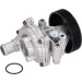 FEBI BILSTEIN Wasserpumpe | 102492