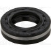 Dichtring | 278.556 Dichtring | 278.556