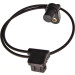 Sensor, Nockenwellenposition | 24-0036 Sensor, Nockenwellenposition | 24-0036