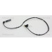 Sensor, Raddrehzahl | 818011202