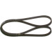 Keilrippenriemen | NISSAN,HYUNDAI,HONDA,KIA | 1987948365 Keilrippenriemen | NISSAN,HYUNDAI,HONDA,KIA | 1987948365