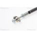Bremsschlauch | 815017215 Bremsschlauch | 815017215