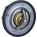 Thermostat, Kühlmittel | 352317100930 Thermostat, Kühlmittel | 352317100930