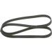 Keilrippenriemen | TOYOTA,BMW | 1987946252 Keilrippenriemen | TOYOTA,BMW | 1987946252
