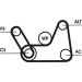 Keilrippenriemen 6Pk1019 | 6PK1019 ELAST T1 Keilrippenriemen 6Pk1019 | 6PK1019 ELAST T1