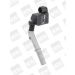 BorgWarner (BERU) Zündspule ZSE094