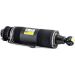 Arnott Luftfederbein HA li SK-2420 Arnott Luftfederbein HA li SK-2420