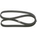 Keilrippenriemen ALFA,CITROEN,FIAT,LANCIA 1987946054 Keilrippenriemen ALFA,CITROEN,FIAT,LANCIA 1987946054