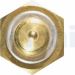 DELPHI Temperatursensor TS10270