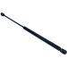 Gasfeder, Koffer-/Laderaum 12-0084