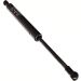 Gasfeder, Koffer-/Laderaum 12-0034