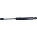 Gasfeder, Vorne L 296 560N 677123 Gasfeder, Vorne L 296 560N 677123