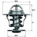 Thermostateinsatz mit Dichtung VAG 1.4/1.9TDI -2010 m.Bypass BEHR TX 15 87D Thermostateinsatz mit Dichtung VAG 1.4/1.9TDI -2010 m.Bypass BEHR TX 15 87D