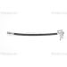 Bremsschlauch 815018121