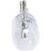 12V 2W PURE LIGHT W2,1x9,5d 1987302223 12V 2W PURE LIGHT W2,1x9,5d 1987302223