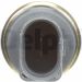 DELPHI Temperatursensor TS10278