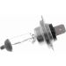 VEMO Glühlampe, Nebelscheinwerfer V99-84-0002 Green Mobility Parts