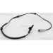 Sensor, Raddrehzahl 818028210