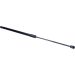 Gasfeder, Hinten L 603 550N 538499