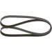 Keilrippenriemen AUDI,DAIHATSU,SEAT,ALFA 1987946294