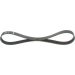 Keilrippenriemen FORD Elastic 1987946119 Keilrippenriemen FORD Elastic 1987946119