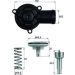 Integralthermostat mit Dichtung TI 220 87D