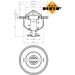 Thermostat, Kühlmittel EASY FIT 725176 Thermostat, Kühlmittel EASY FIT 725176