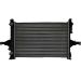 Kühler, Motorkühlung AC256918 Kühler, Motorkühlung AC256918