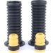 Staubschutzsatz VA li/re RENAULT Captur 13 PROTECTION KIT PK392