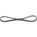 Keilrippenriemen Diverse Elastic 1987946107 Keilrippenriemen Diverse Elastic 1987946107
