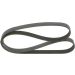 Keilrippenriemen FORD,OPEL,PEUGEOT,CITROEN 1987946280 Keilrippenriemen FORD,OPEL,PEUGEOT,CITROEN 1987946280