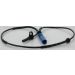 Sensor, Raddrehzahl 818011141