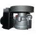 SPIDAN Hydraulikpumpe 54217 SPIDAN Hydraulikpumpe 54217